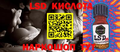 твердый Камышлов