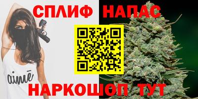 амф Кандалакша