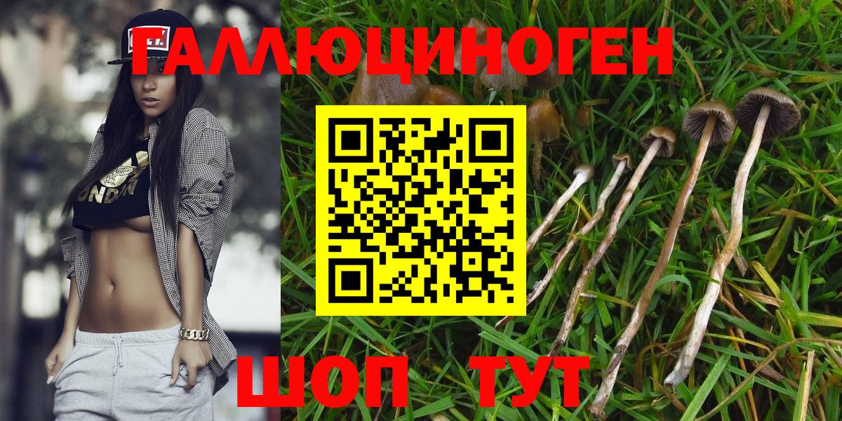 Псилоцибиновые грибы Magic Shrooms  купить   Вход с VPN  Красноуфимск  Псилоцибиновые грибы ЛСД 